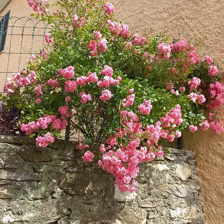 Casa Nonna Tra I Ulivi, In A Small Village In The Ligurian Countryside Holiday home Casanova Lerrone