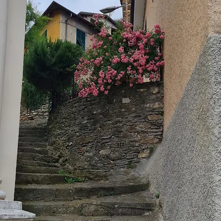 Semesterbostad Casa Nonna Tra I Ulivi, In A Small Village In The Ligurian Countryside
