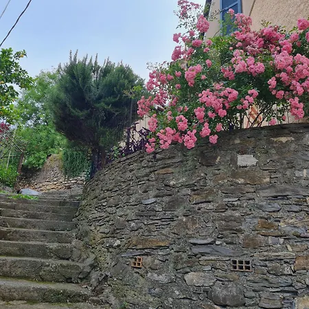 Casa Nonna Tra I Ulivi, In A Small Village In The Ligurian Countryside *